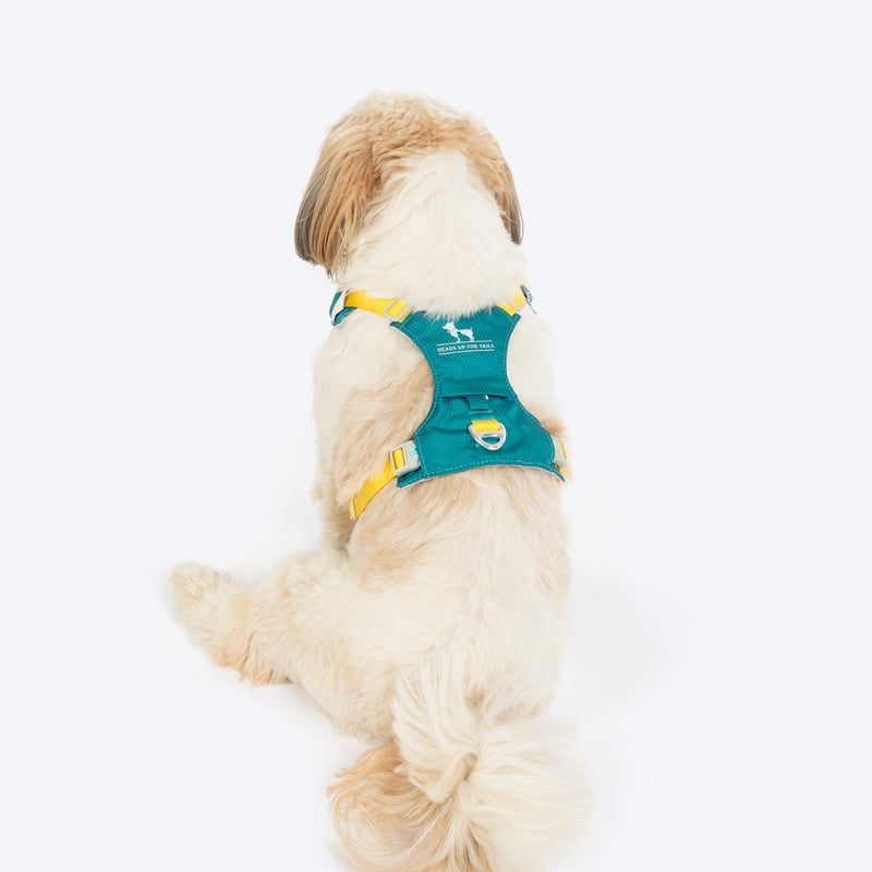 HUFT Walkmate Harness For Dog - Teal Green - Heads Up For Tails