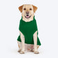 HUFT My Li'l Rudolph Sweater For Dog - Green