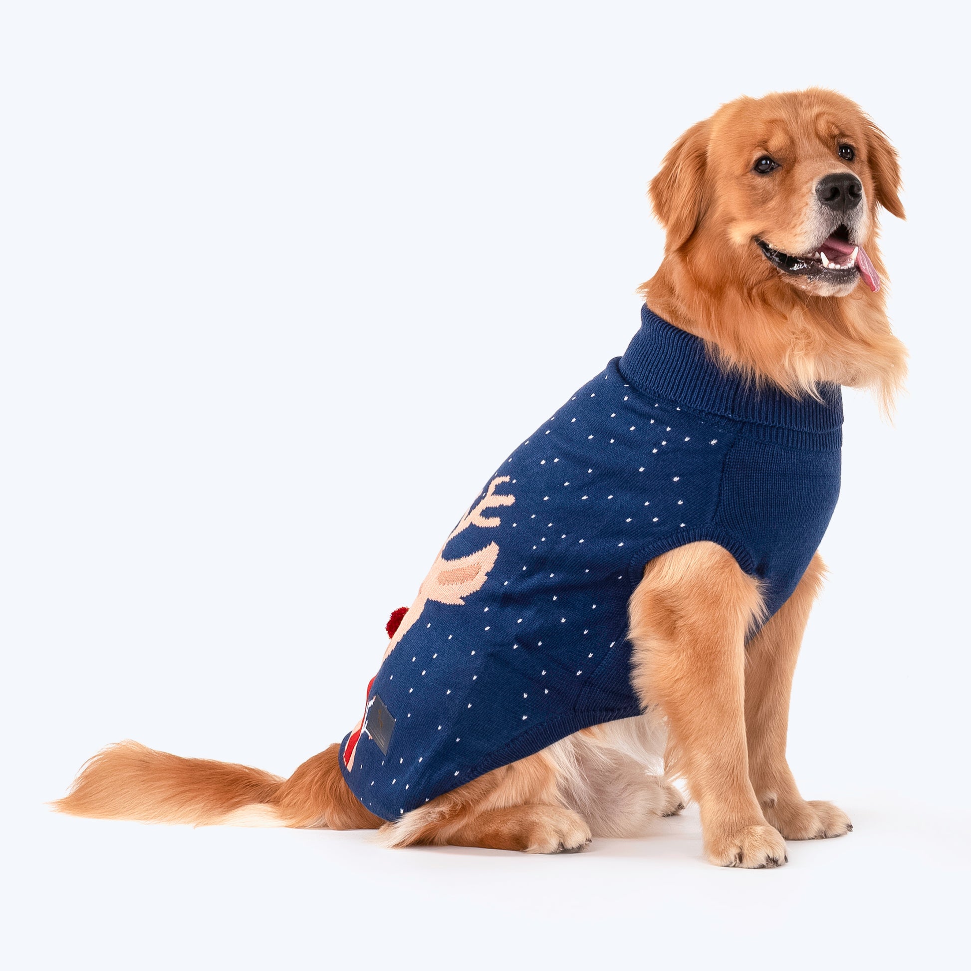 HUFT Radiant Rudolph Sweater For Dogs - Blue - Heads Up For Tails