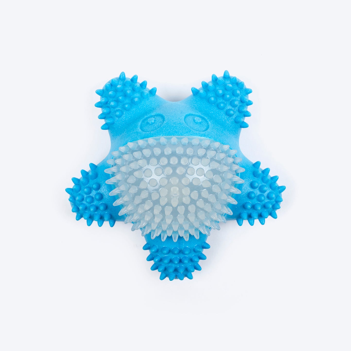 Dash Dog Glowy Starfish Squeaky Chew Toy For Dog - Blue
