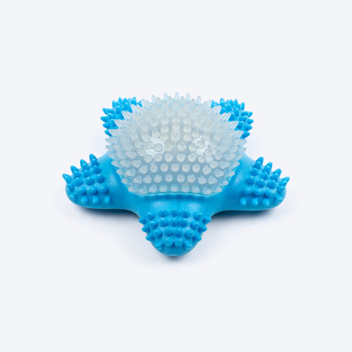 Dash Dog Glowy Starfish Squeaky Chew Toy For Dog - Blue