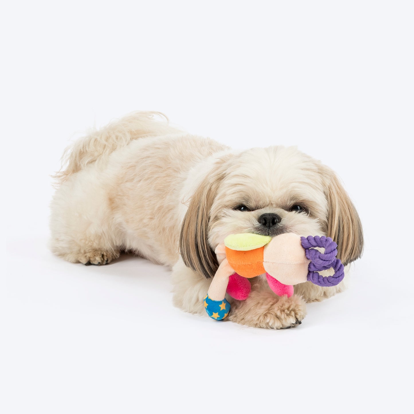 HUFT Happy Hopper Mini Plush Toy for Dog - Multicolour