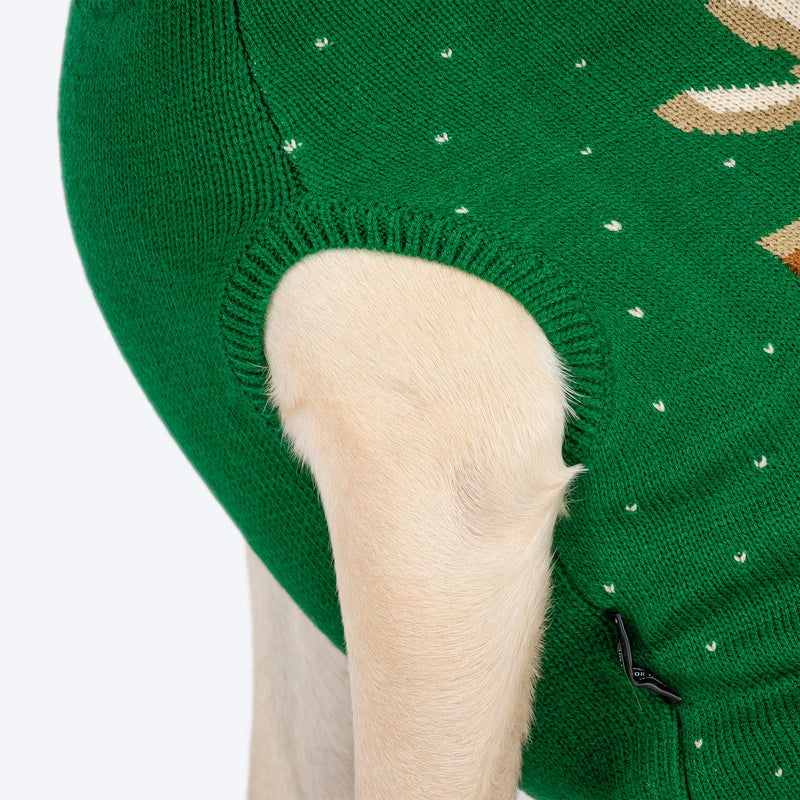 HUFT My Li'l Rudolph Sweater For Dog - Green - Heads Up For Tails