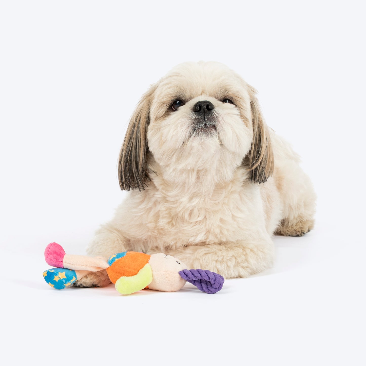 HUFT Happy Hopper Mini Plush Toy for Dog - Multicolour