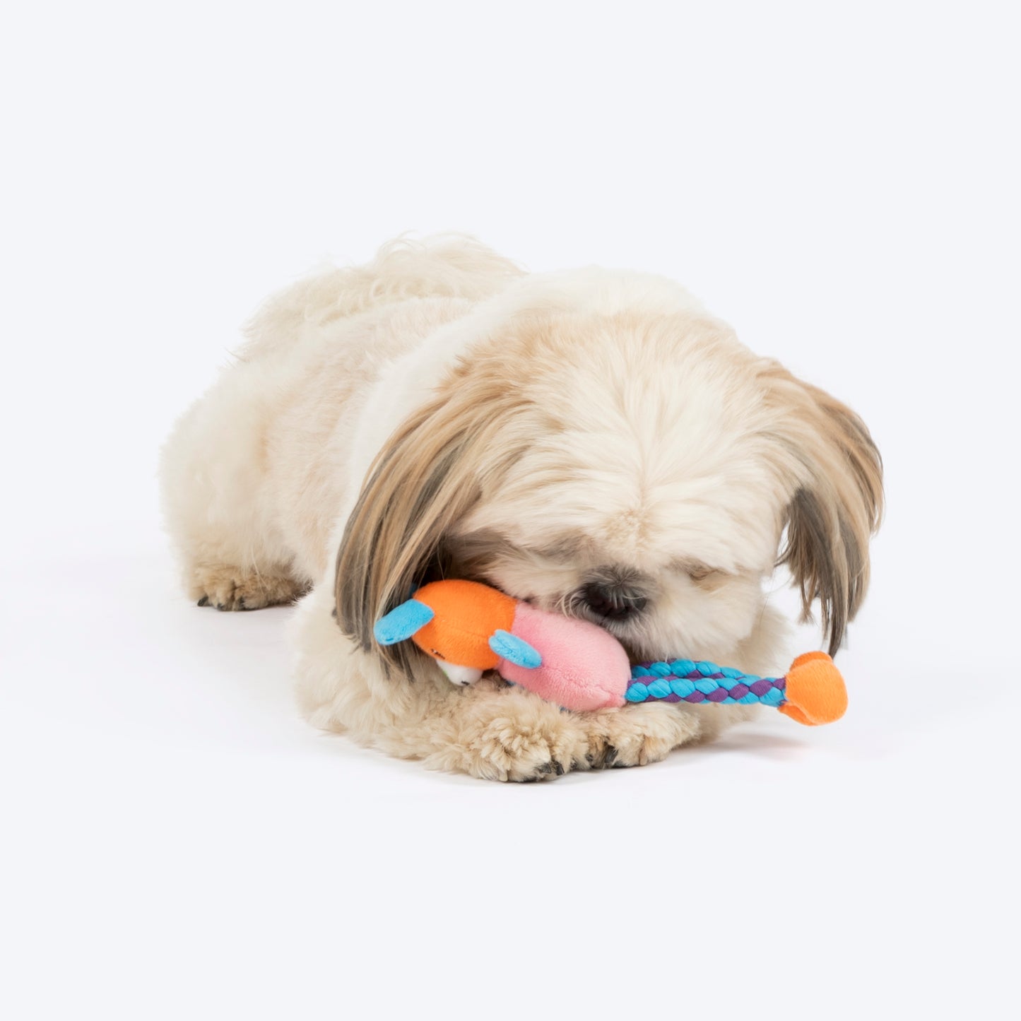 HUFT Sunny Bunny Mini Plush Toy for Dog - Multicolour - Heads Up For Tails