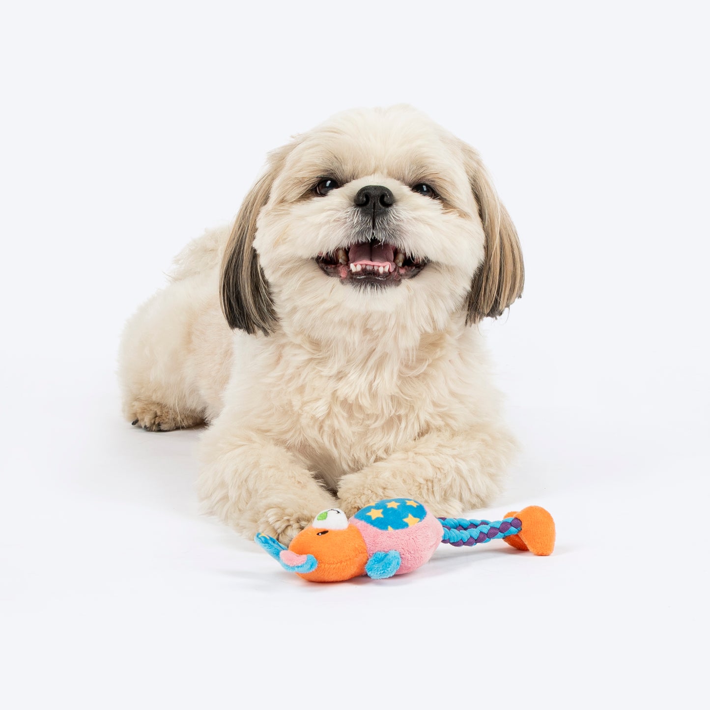 HUFT Sunny Bunny Mini Plush Toy for Dog - Multicolour - Heads Up For Tails