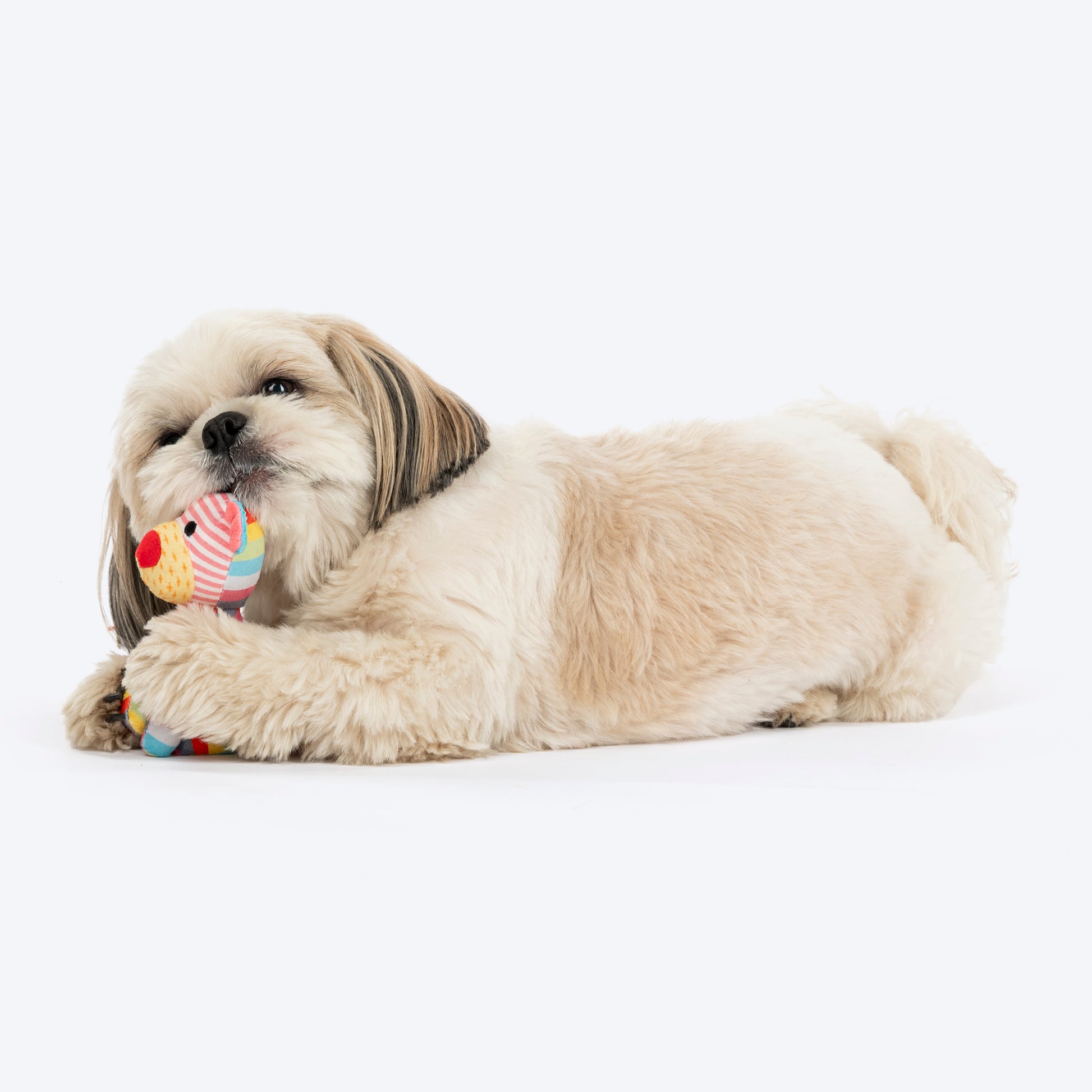 HUFT Pippin Paws Plush Mini Toy for Dogs – Multicolour - Heads Up For Tails