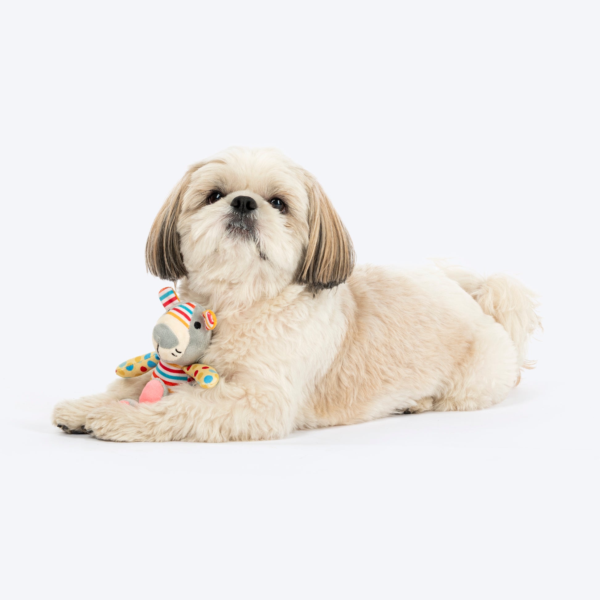 HUFT Roary Rainbow Mini Plush Toy for Dog – Multicolour - Heads Up For Tails