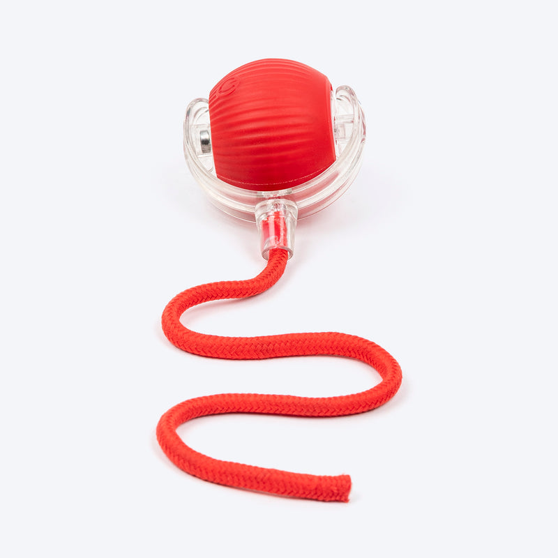 TLC Paw Sprint Interactive Ball With String For Cat - Assorted - Heads Up For Tails
