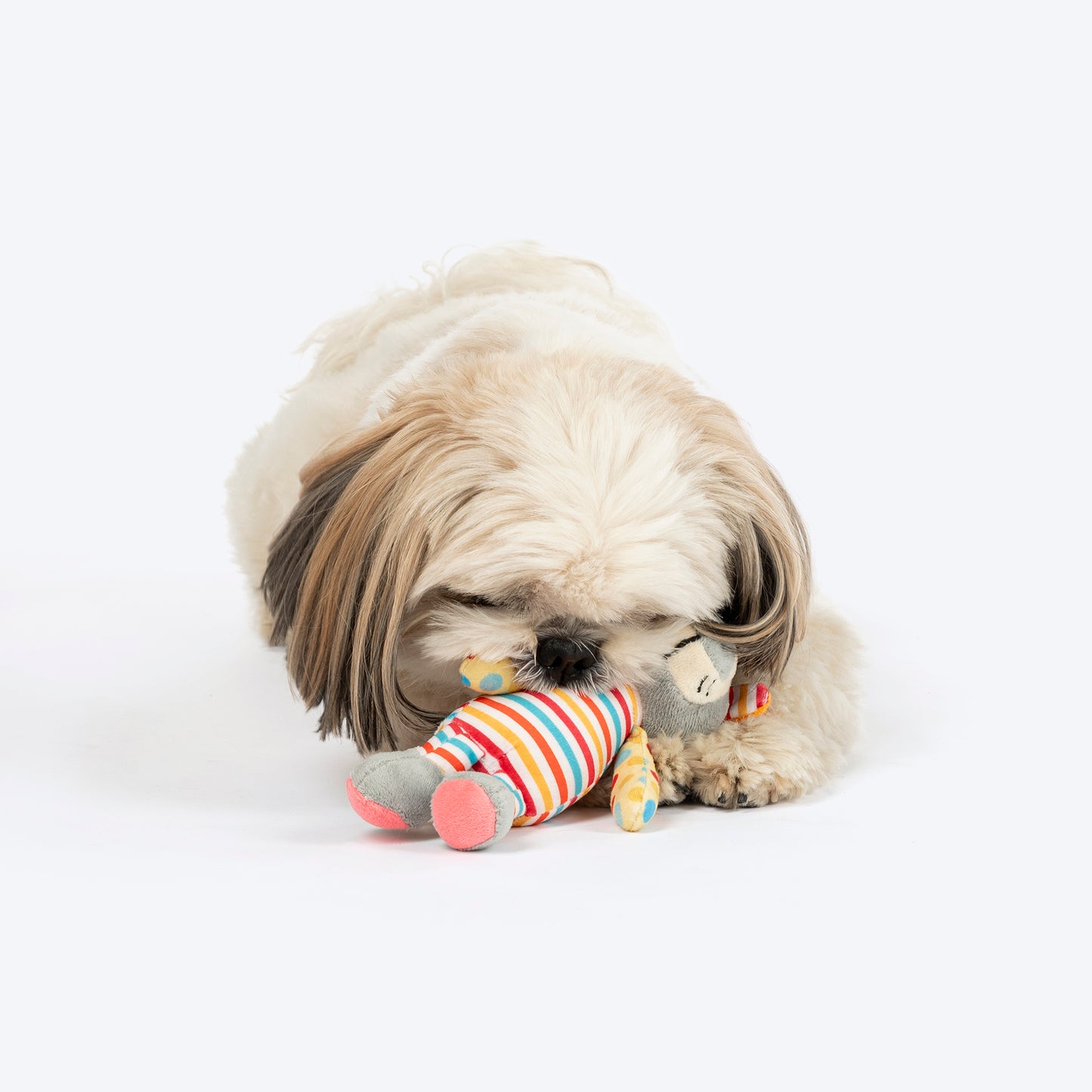 HUFT Roary Rainbow Mini Plush Toy for Dog – Multicolour - Heads Up For Tails