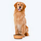 HUFT Wood Textured Dog Bowl (Beige) - Heads Up For Tails
