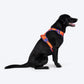 Dash Dog Super Stride Walk Along Harness For Dog - Orange