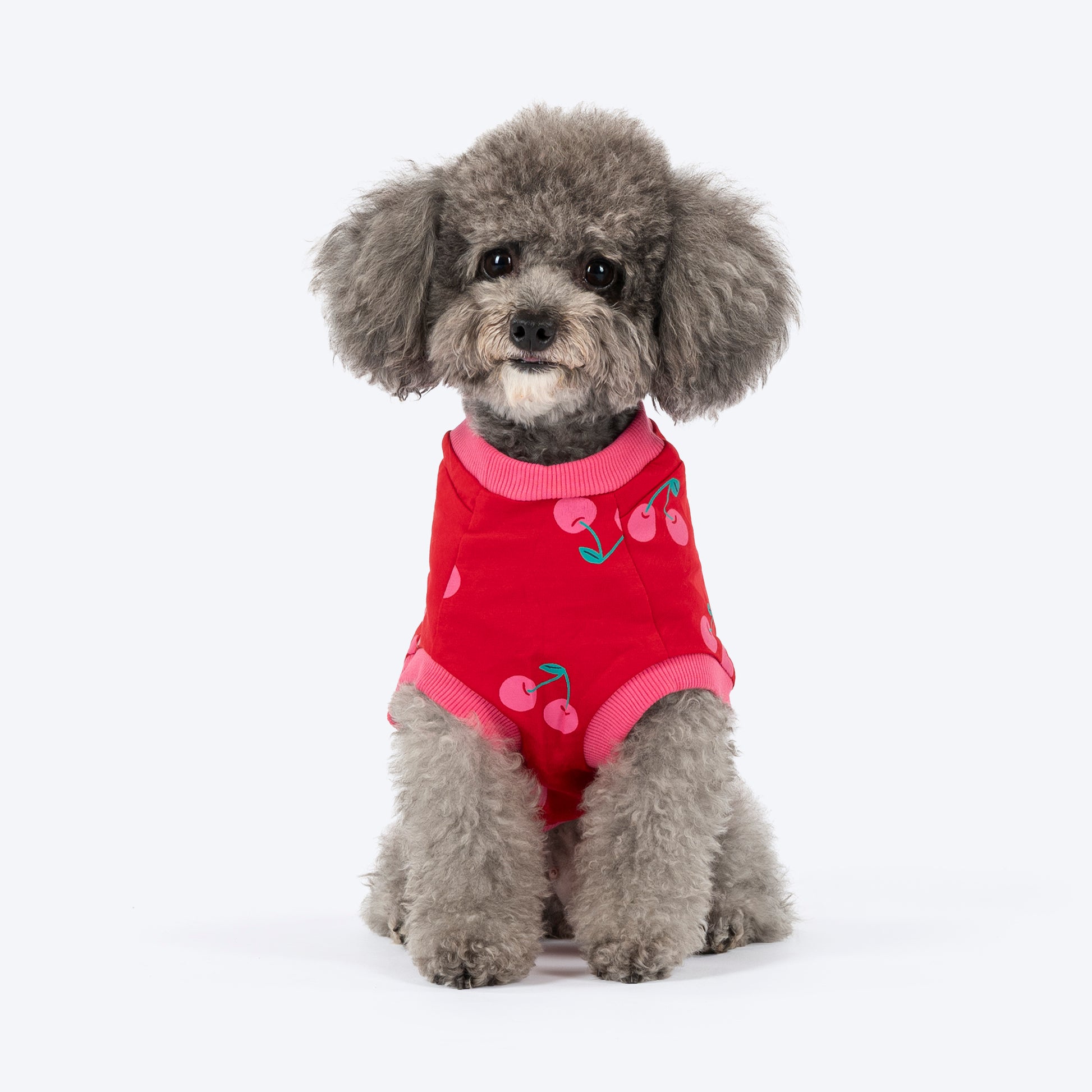 HUFT Cherry Pop Printed T-Shirt For Small Dog - Red - Heads Up For Tails