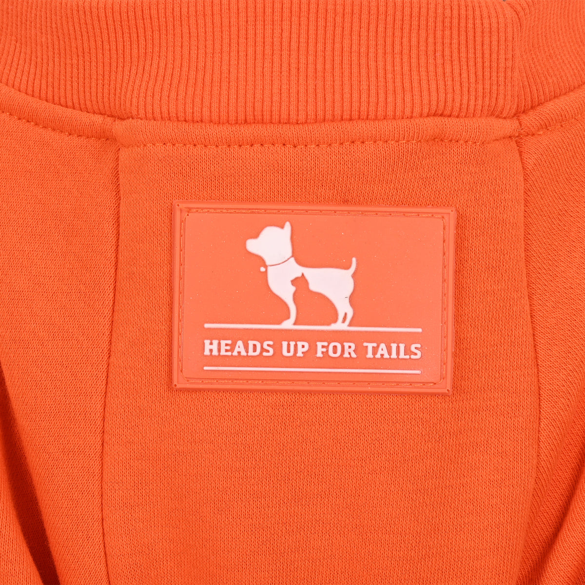 HUFT Pumpkin Bear Sweatshirt For Dog - Orange