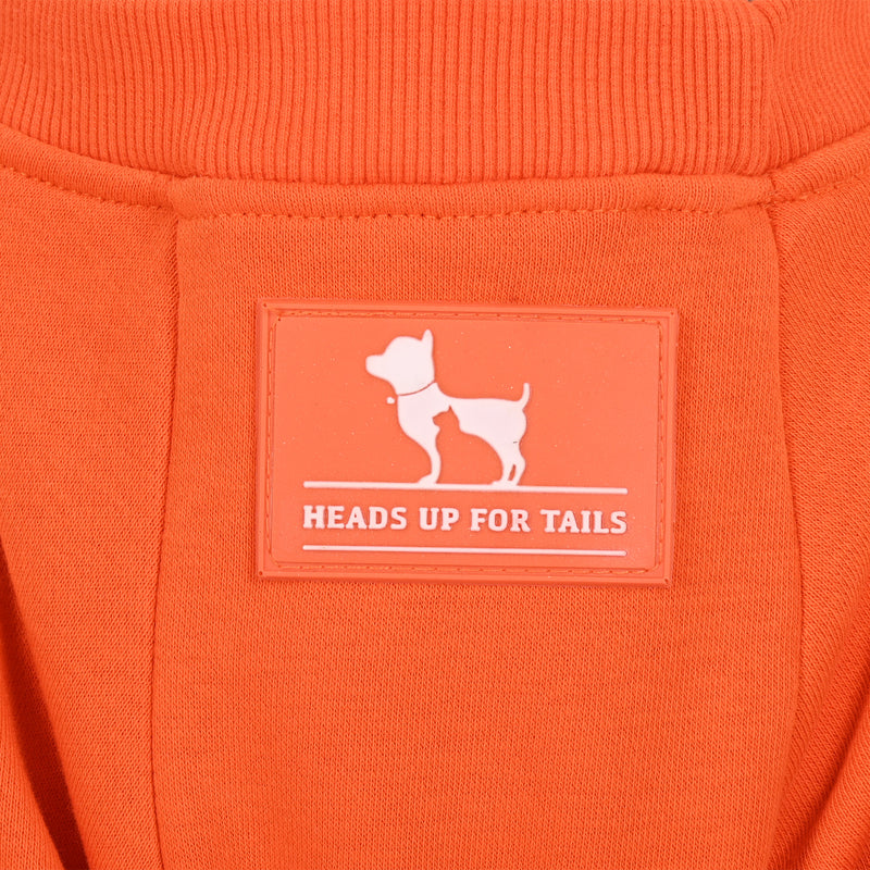 HUFT Pumpkin Bear Sweatshirt For Dog - Orange