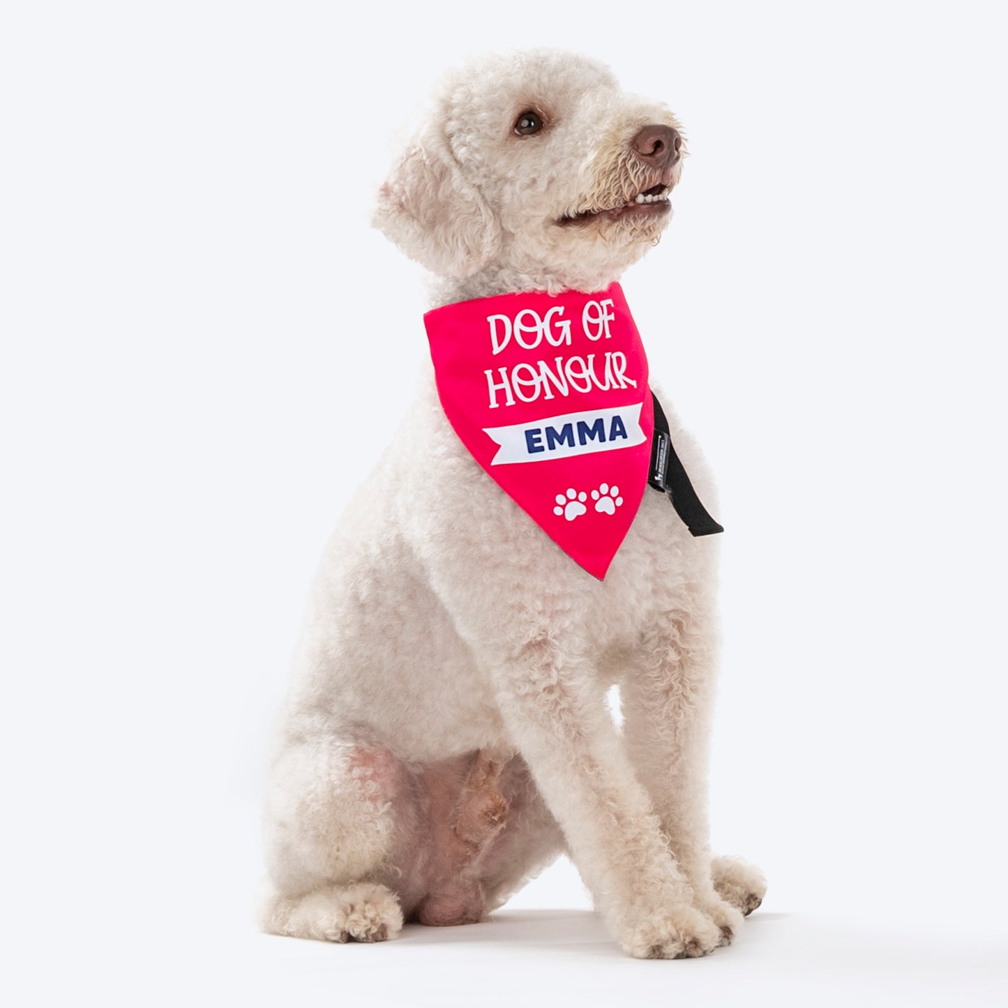 HUFT Personalised Dog Of Honour (Name) Proposal Dog Bandana - Heads Up For Tails