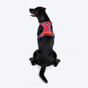 Dash Dog HexaStreak Walk Along Harness For Dog - Red - Heads Up For Tails