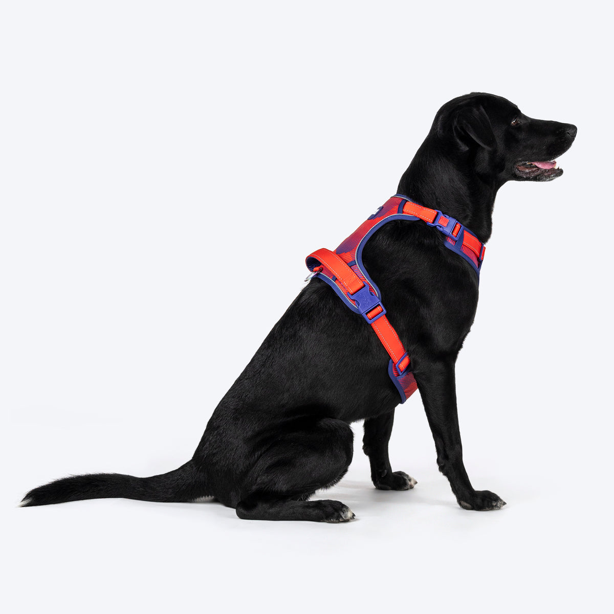 Dash Dog HexaStreak Walk Along Harness For Dog - Red - Heads Up For Tails