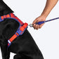 Dash Dog HexaStreak Walk Along Harness For Dog - Red