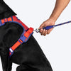 Dash Dog HexaStreak Walk Along Harness For Dog - Red - Heads Up For Tails