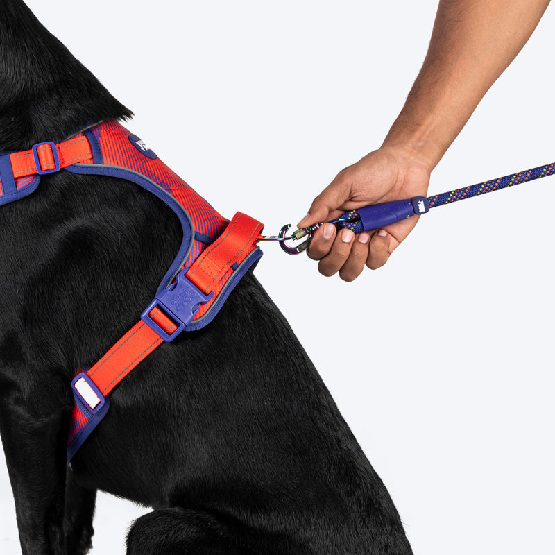 Dash Dog HexaStreak Walk Along Harness For Dog - Red - Heads Up For Tails