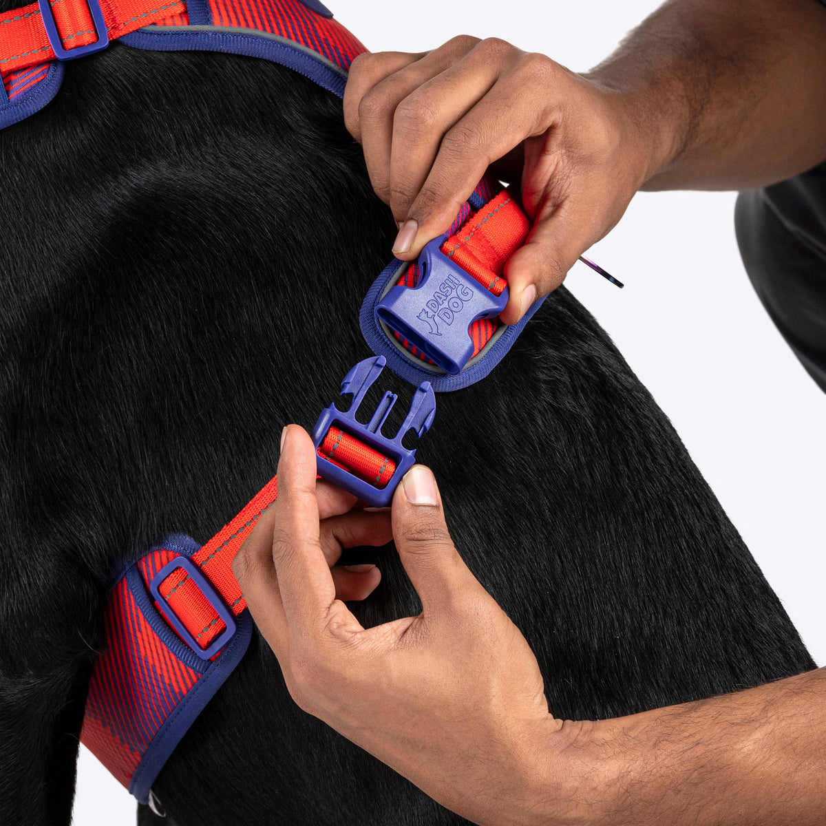 Dash Dog HexaStreak Walk Along Harness For Dog - Red - Heads Up For Tails