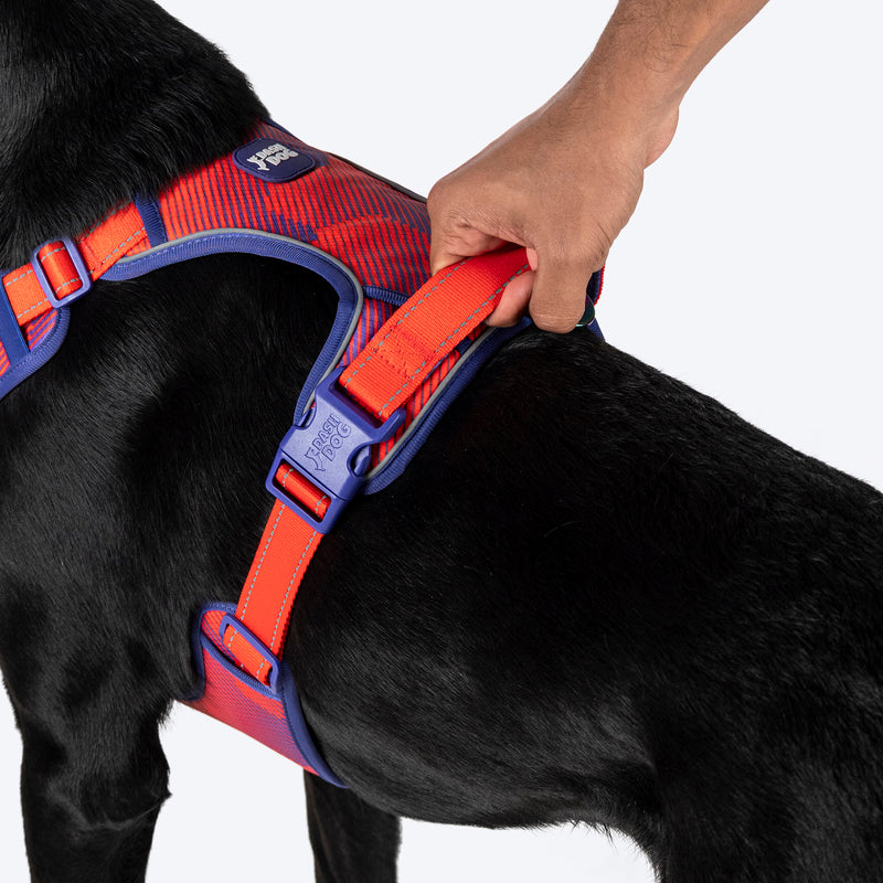 Dash Dog HexaStreak Walk Along Harness For Dog - Red - Heads Up For Tails
