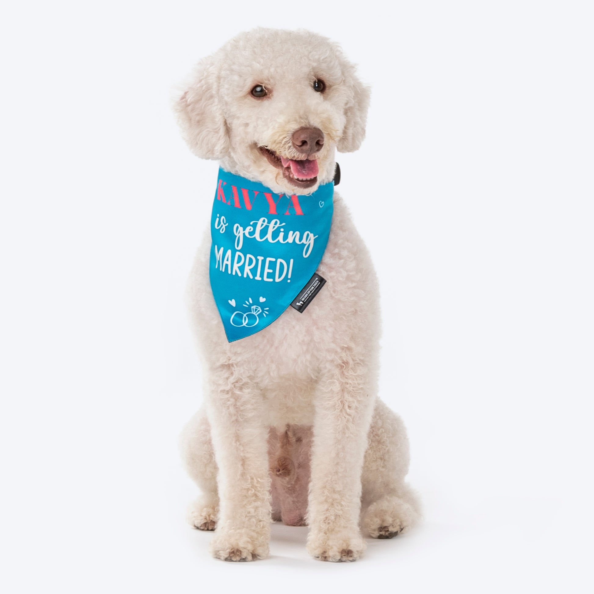 HUFT Personalised (Name) Is Getting Married Proposal Dog Bandana - Heads Up For Tails