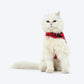 HUFT Essential Harness & Leash Set For Cat - Red - Heads Up For Tails