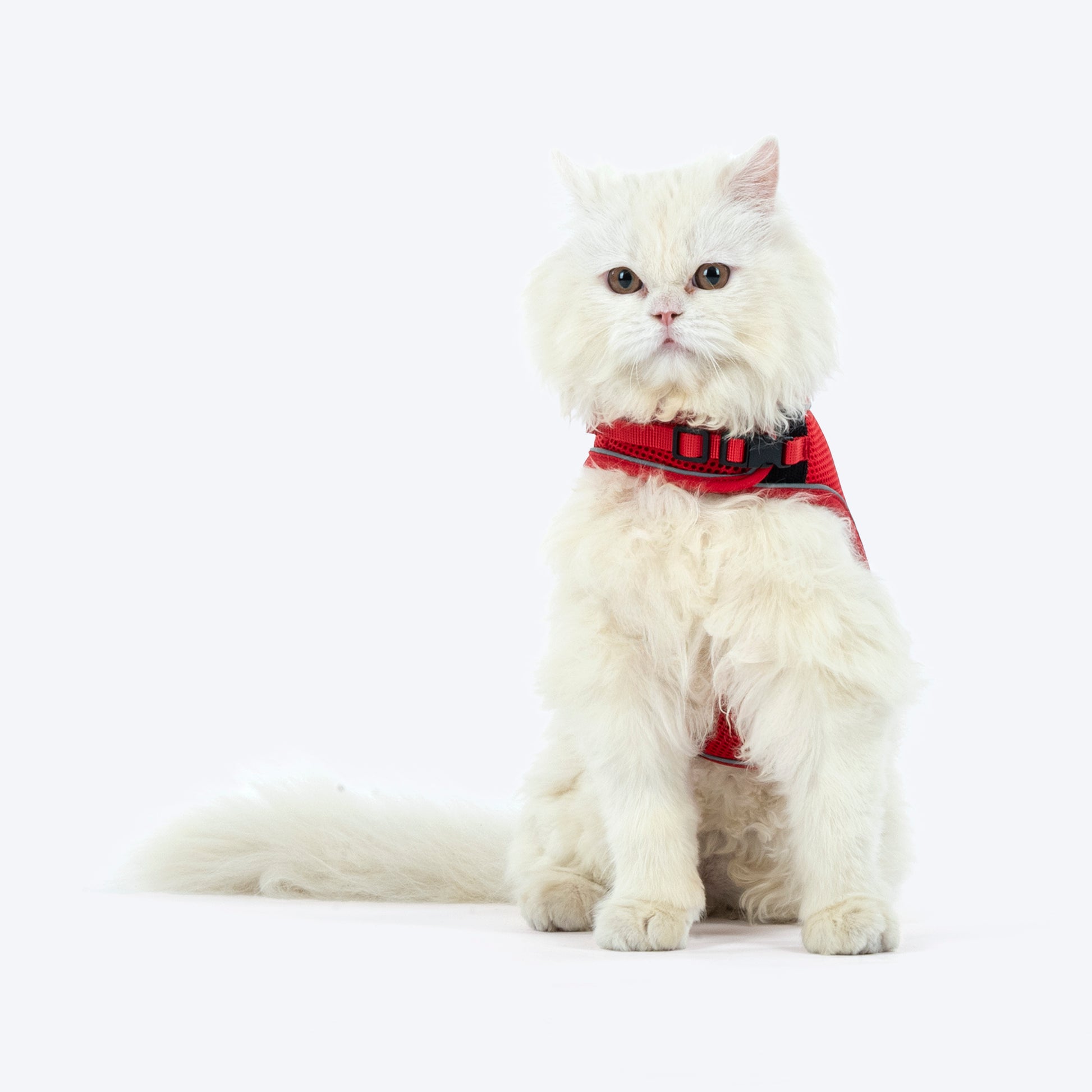 HUFT Essential Harness & Leash Set For Cat - Red - Heads Up For Tails