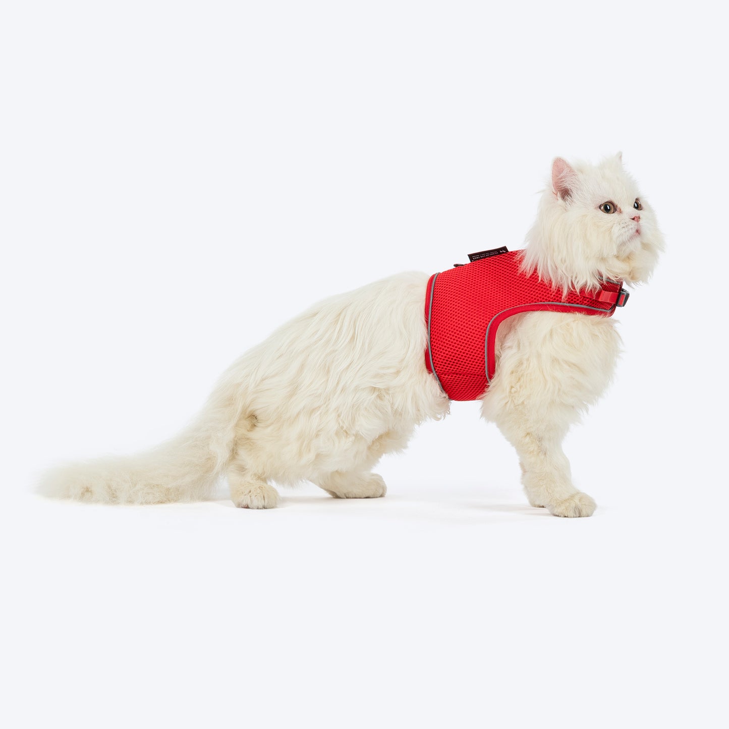 HUFT Essential Harness & Leash Set For Cat - Red - Heads Up For Tails