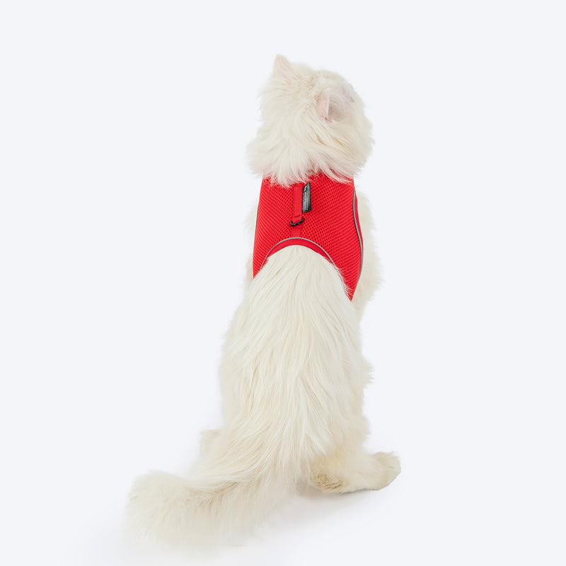 HUFT Essential Harness & Leash Set For Cat - Red - Heads Up For Tails