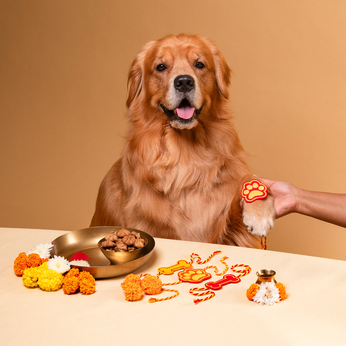 HUFT Furever Love Rakhi For Dog & Cat - Yellow - Heads Up For Tails
