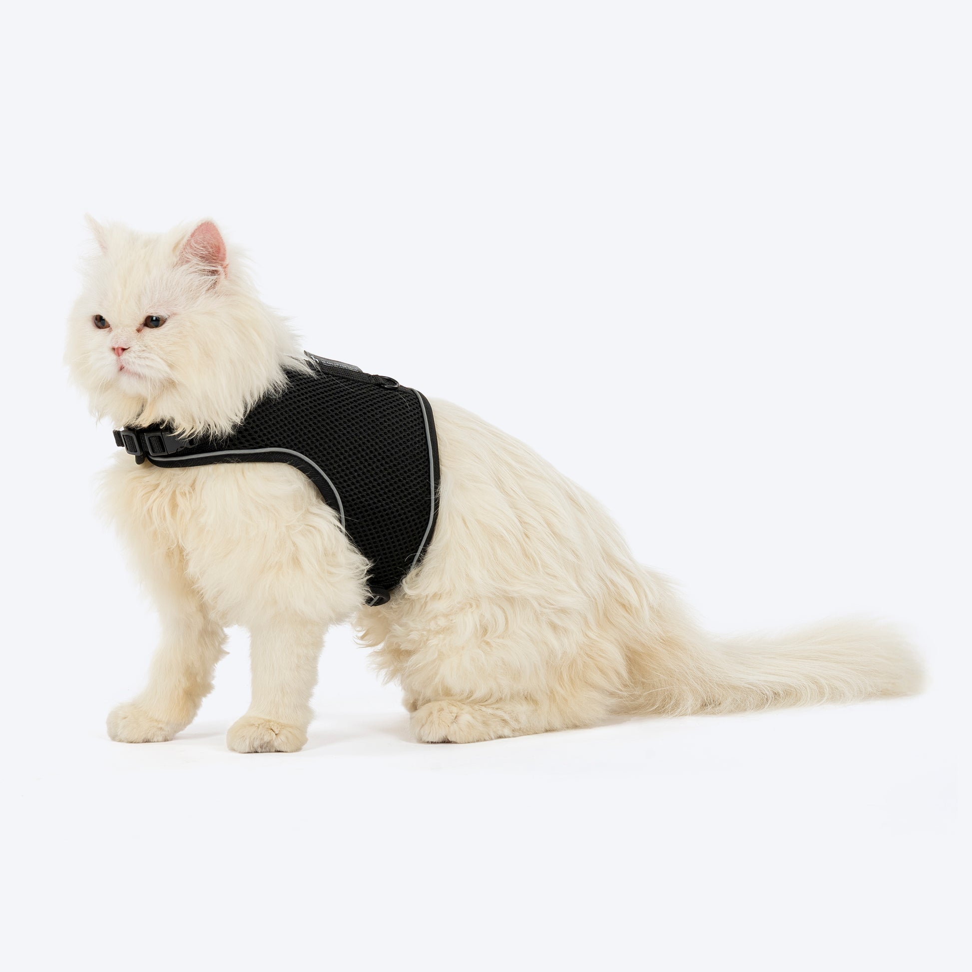 HUFT Essential Harness & Leash Set For Cat - Black - Heads Up For Tails
