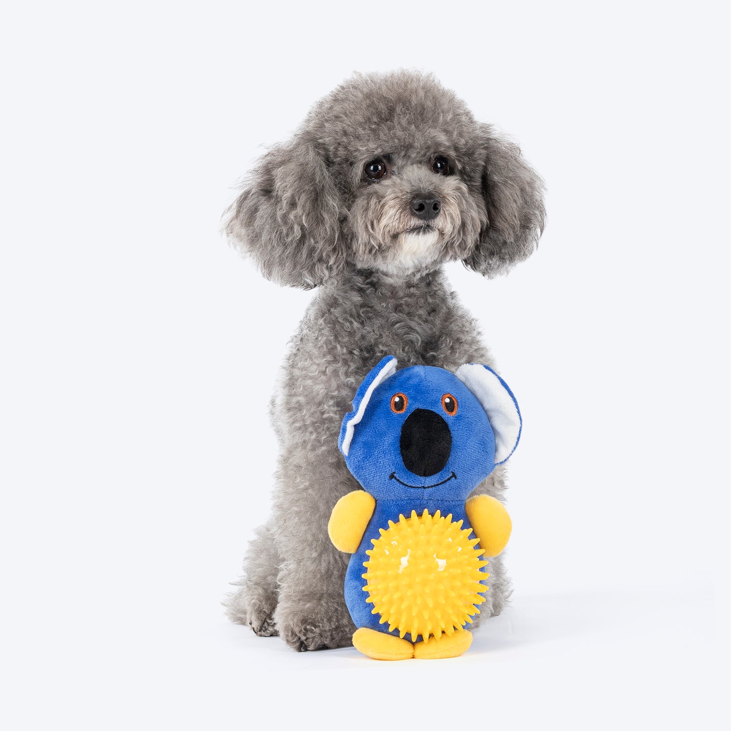 HUFT Big Belly Koala Chew Toy For Dog  - Blue