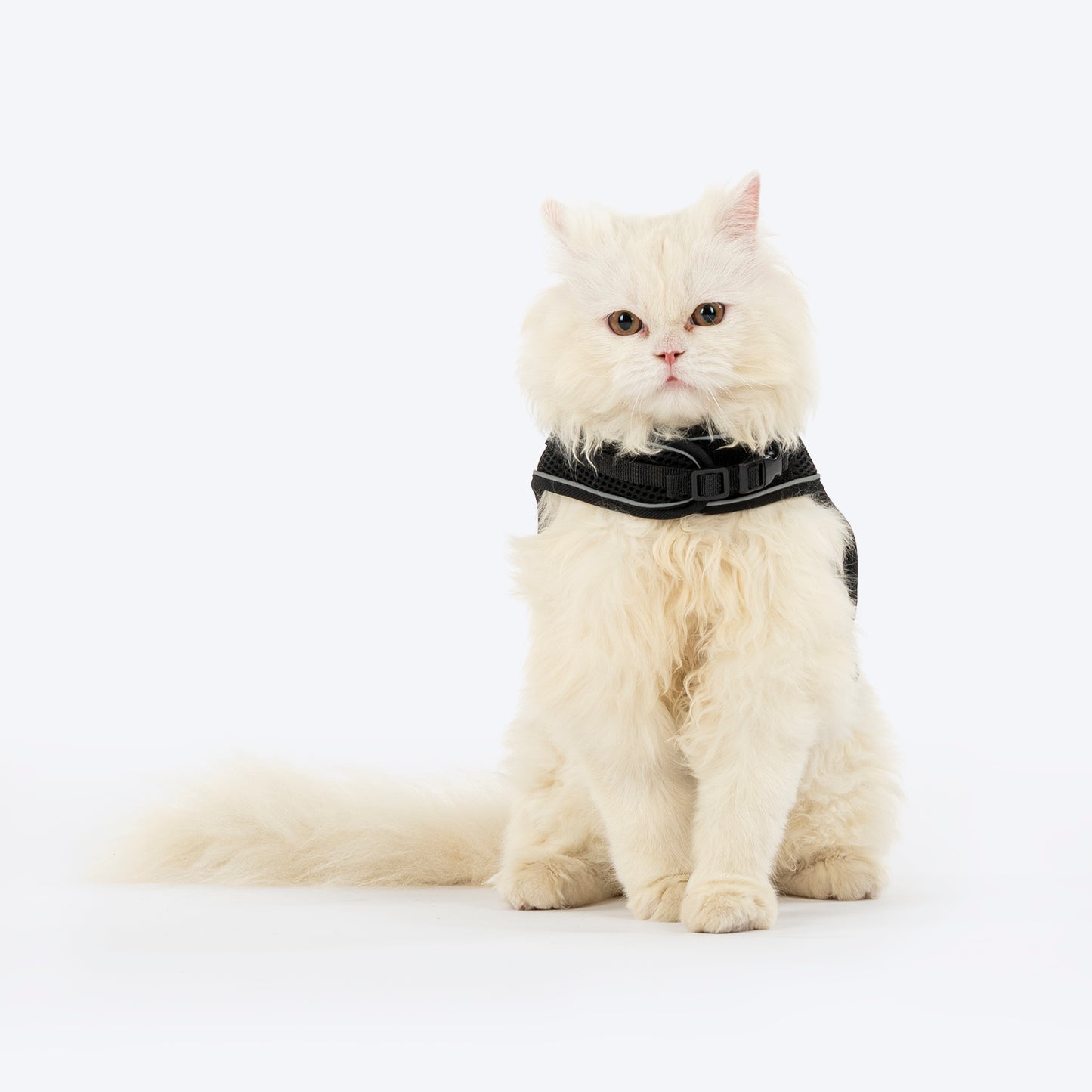 HUFT Essential Harness & Leash Set For Cat - Black - Heads Up For Tails