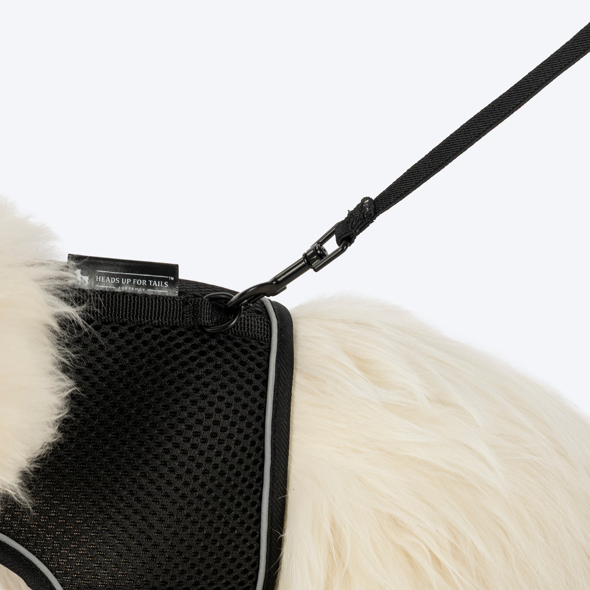 HUFT Essential Harness & Leash Set For Cat - Black - Heads Up For Tails