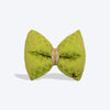 HUFT Shahi Brocade Bow Tie For Dog - Lime Green - Heads Up For Tails