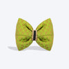 HUFT Shahi Brocade Bow Tie For Dog - Lime Green - Heads Up For Tails