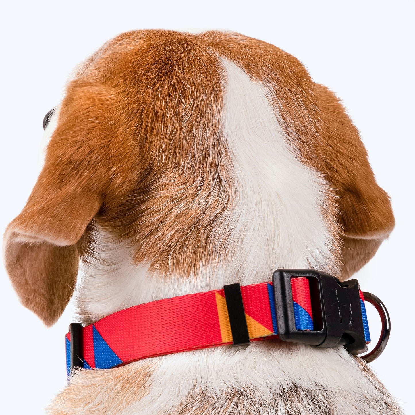 HUFT Crimson Thrill Printed Dog Collar - Heads Up For Tails