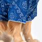 HUFT Bandhani Breeze Kurta For Dog - Blue