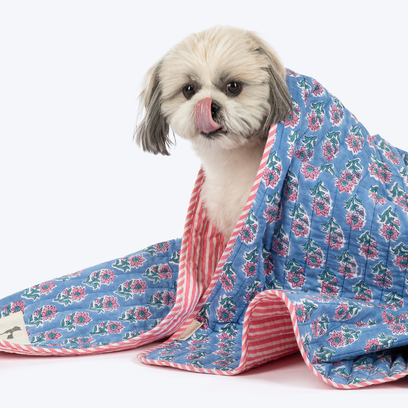HUFT Jaipuri Phool Dog Blanket - Blue & Pink