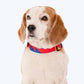 HUFT Crimson Thrill Printed Dog Collar - Heads Up For Tails