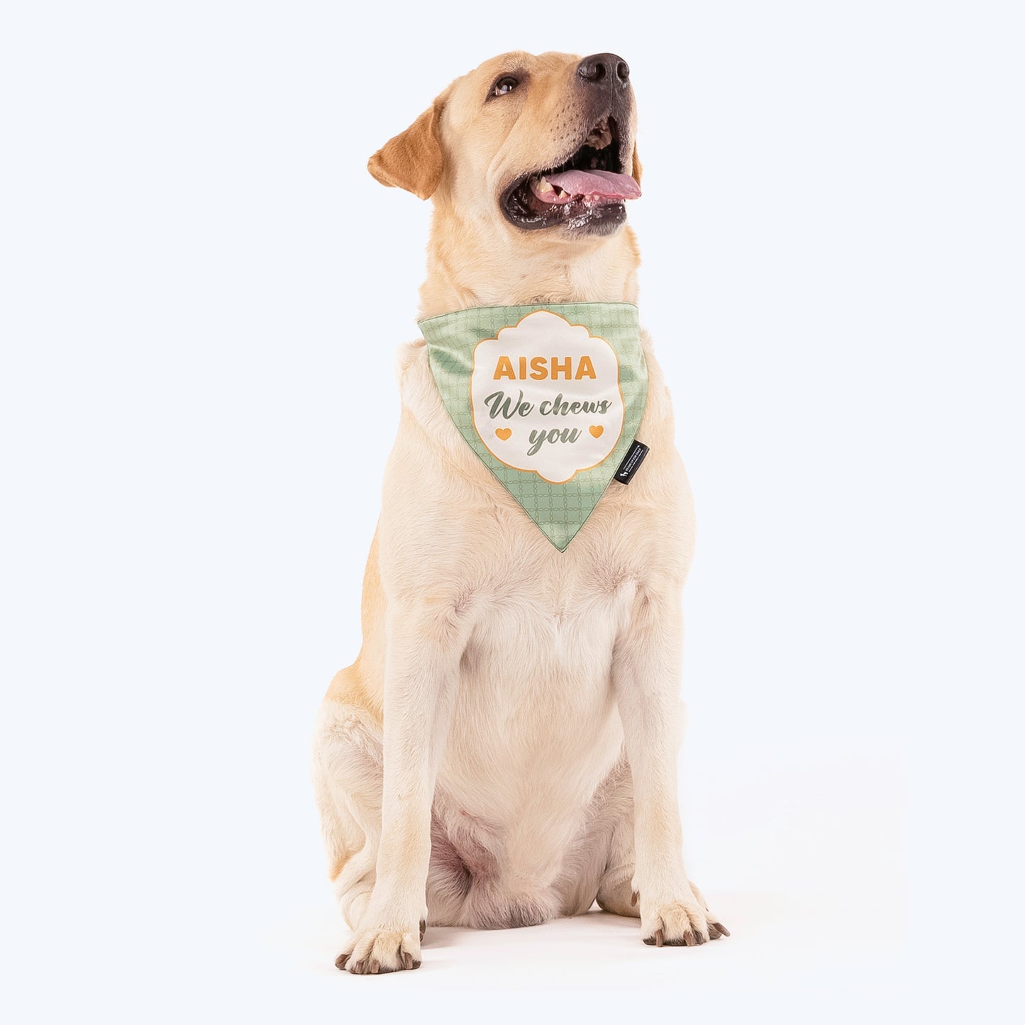 HUFT Personalised (Name) We Chews You Proposal Dog Bandana - Heads Up For Tails