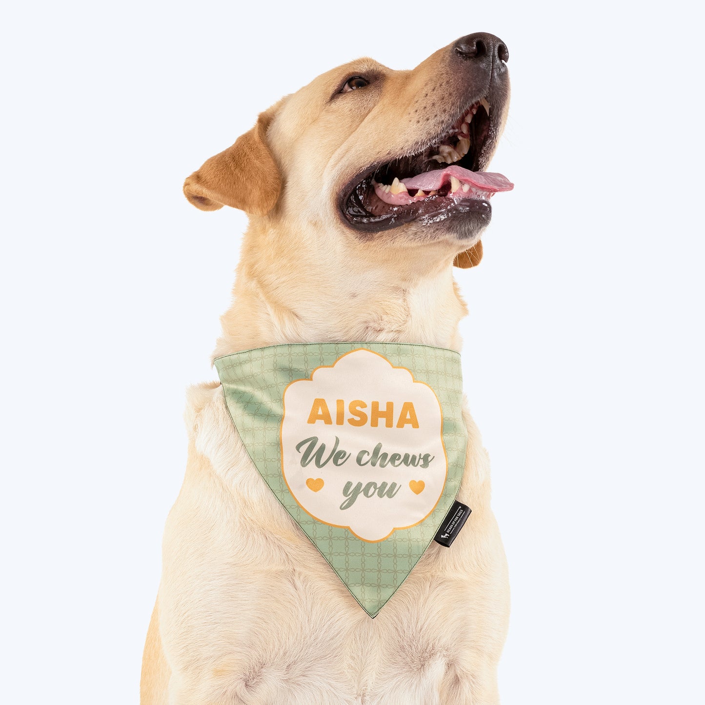 HUFT Personalised (Name) We Chews You Proposal Dog Bandana - Heads Up For Tails