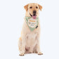 HUFT Personalised (Name) We Chews You Proposal Dog Bandana - Heads Up For Tails