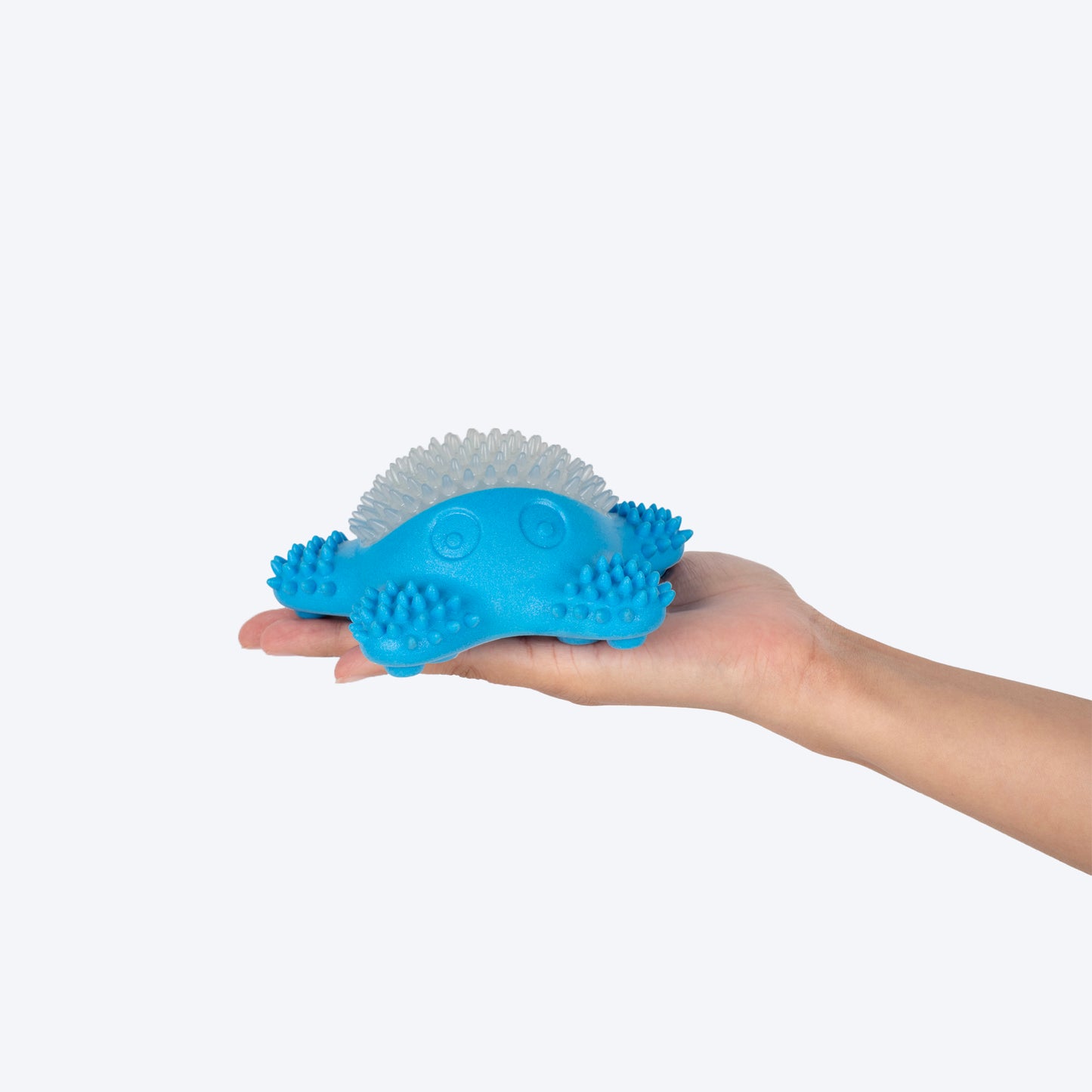 Dash Dog Glowy Starfish Squeaky Chew Toy For Dog - Blue