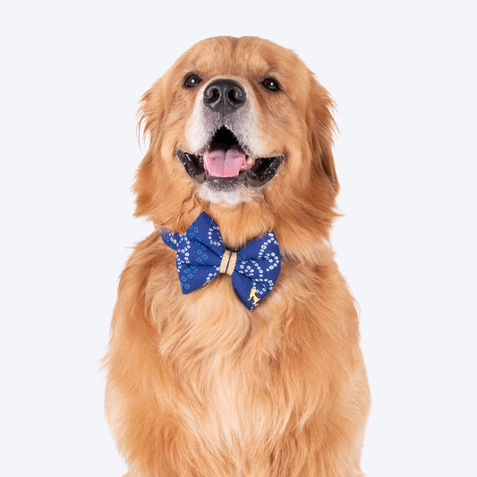 HUFT Bandhani Breeze Bowtie With Strap For Dog - Blue