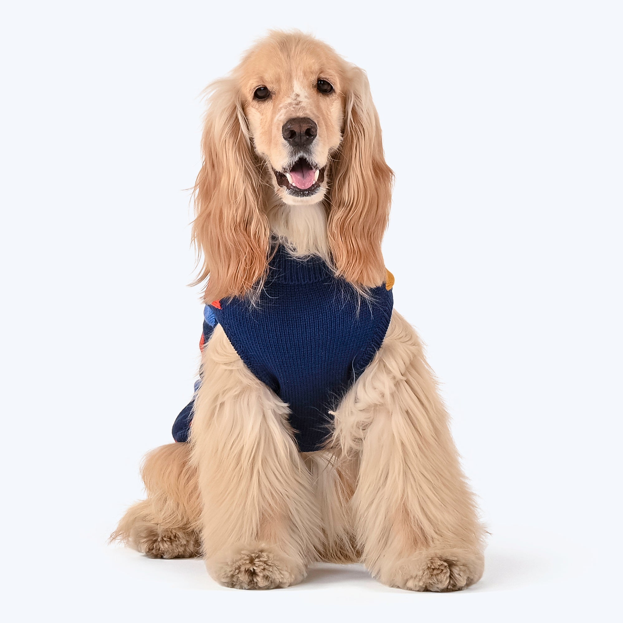 Cocker spaniel dog clearance clothes