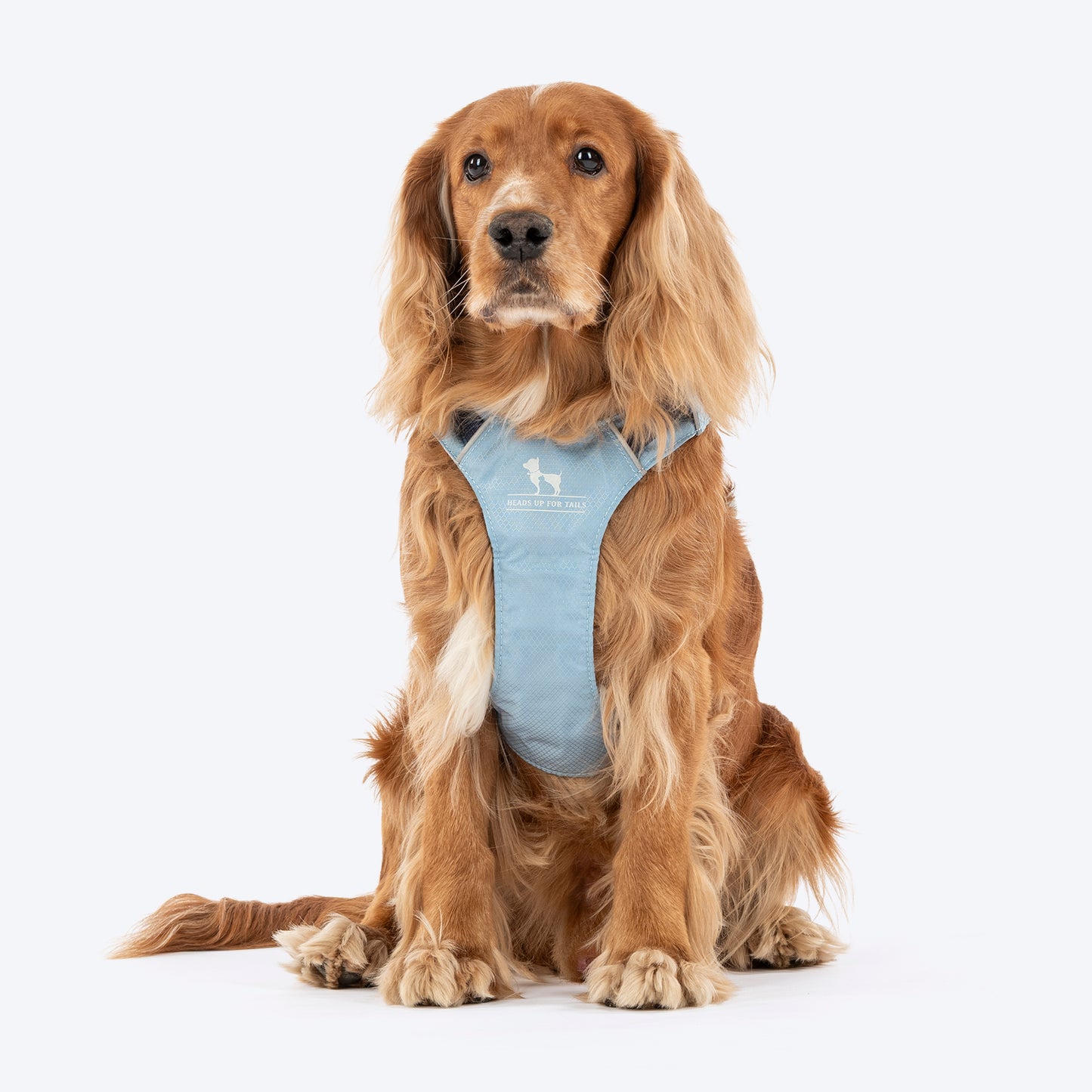 HUFT Walkmate Harness For Dog - Slate Blue